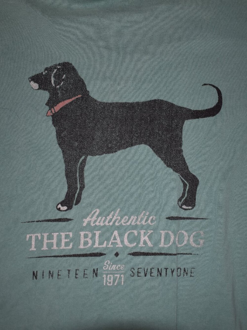 The Black Dog Unisex XXL Faded Green T Shirt - Classic Collection